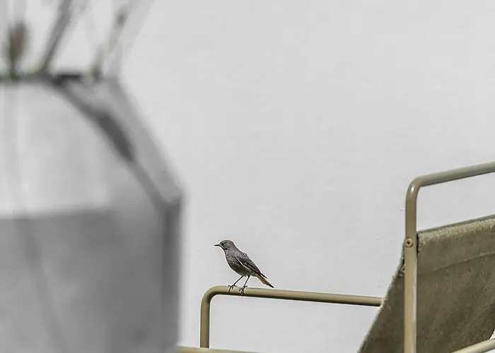 Montecarmo12 - Design Boutique Hotel 4*